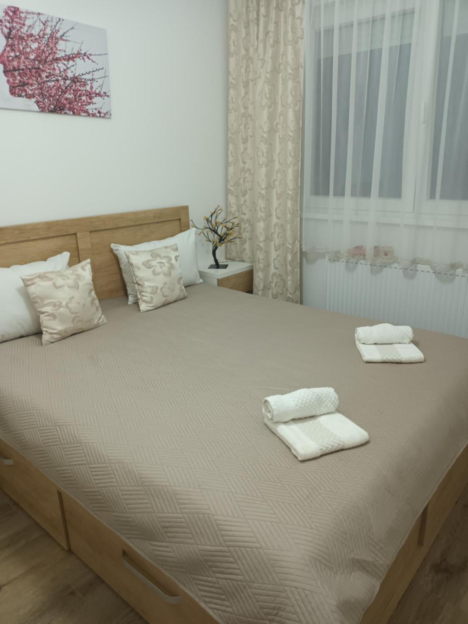 Katarina 3 Apartment Banja Koviljaca Ngoại thất bức ảnh
